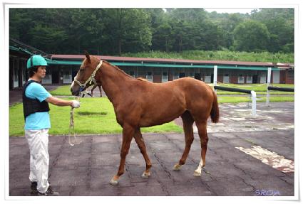 �������� ����