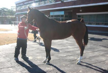 ���Ǹ���Ŀ ����