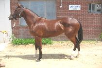 �����ְ� (GAESEONG CHOEGANG) ����