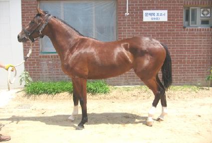 �����ְ� ����