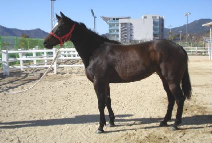 ����ǲ� ����