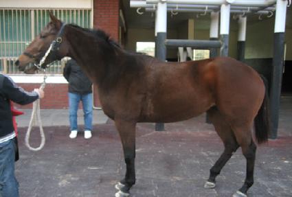 �丣�ҳ� ����