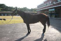 �Ƕ� (TTOTTO) ����