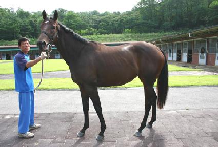 ��ǳ���� ����