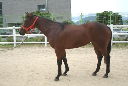 �Ҳ����� ����