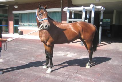 ��ī���� ����