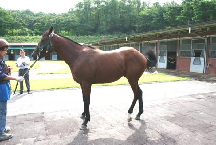 ���������� ����