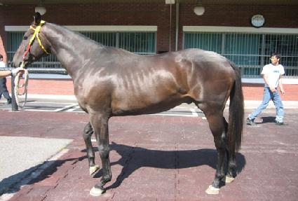 �Űż��� ����