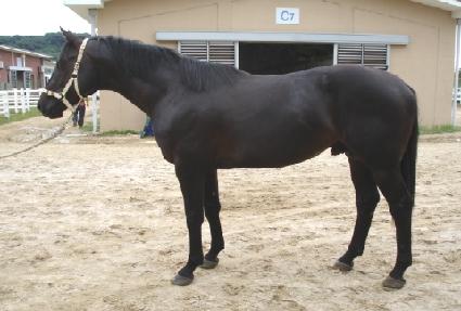 �̽ô밭�� ����