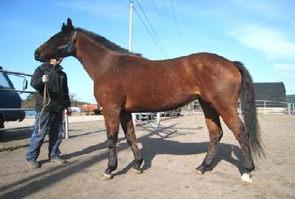 �������� ����