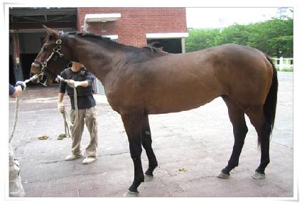 ���и��� ����