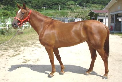 �����޻� ����