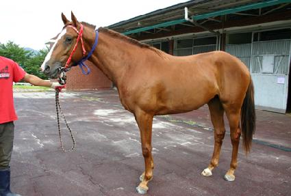 ��Ÿ�� ����