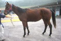 ����Ƽ (GOOD PARTY) ����