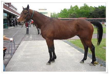 ������ ����