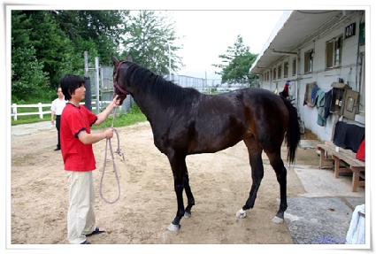 �ʿ����ڶ� ����