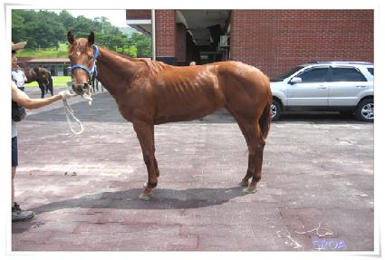 ��������� ����