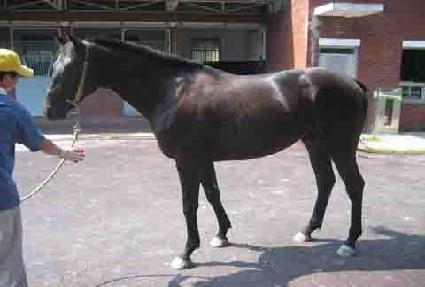 ��������Ʈ ����