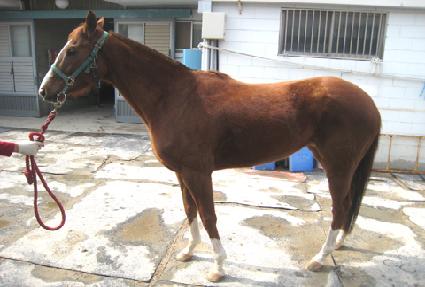 ��Ƽ�� ����