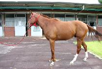 ������ũ (MAGIC TANK) ����