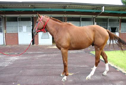 ������ũ ����