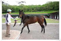 �ʿ������ (CHOWONUI HYANGGI) ����