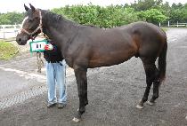 ��Ŀ���̽� (POKER FACE) ����