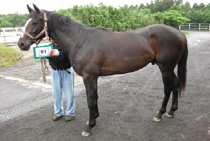 ��Ŀ���̽� ����