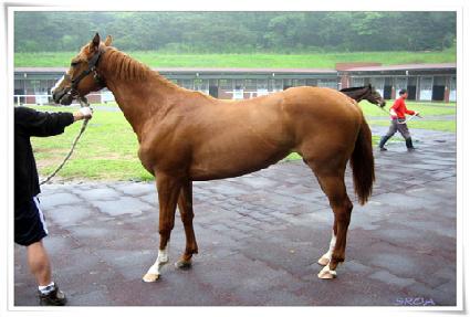 ��ǳ���� ����