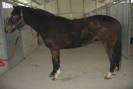 ���� ����