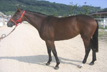 �̱��� ����