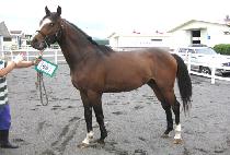 ���˸� (REAL MAN) ����