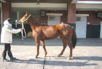 ȭ���Ѻ�Ȱ (HWARYEOHAN BUHWAL) ����