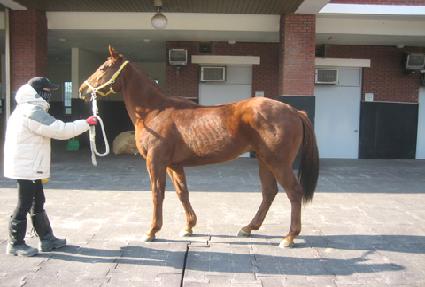 ȭ���Ѻ�Ȱ ����