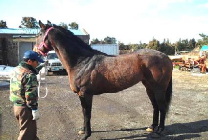 �ڿ��� ����