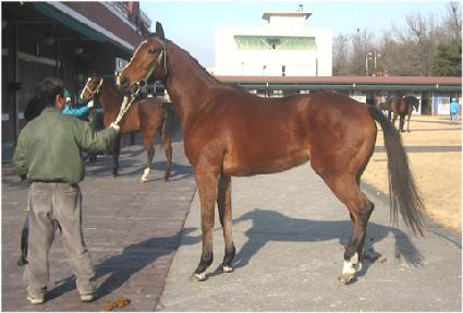 ������ ����