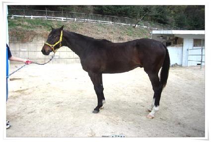 ž�õ� ����