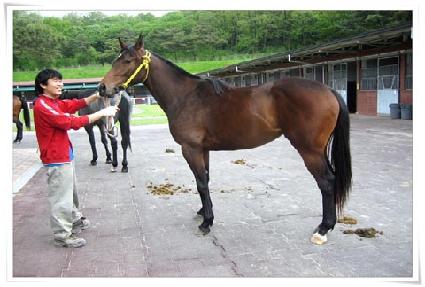 �������� ����