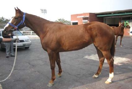 �����ߵ� ����