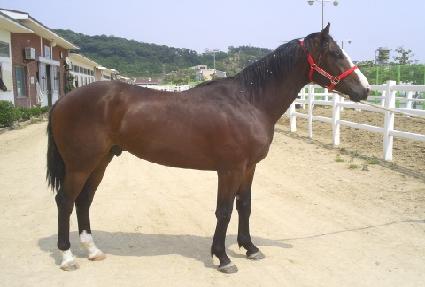 ������������ ����