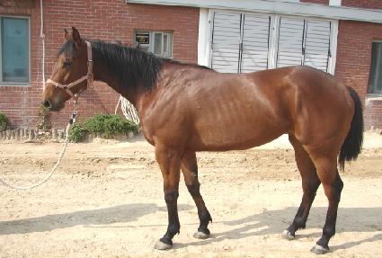 �������ν�Ƽ ����