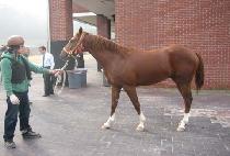 ������ (JISANG MUJEOK) ����