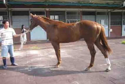 �籺���� ����