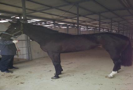 ����õ�� ����