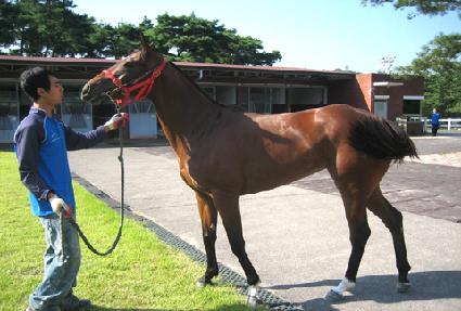 �����̾Ƹ�� ����