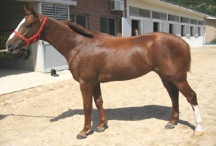 ��ȣ���� ����