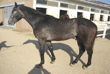 ����Ű���� ����