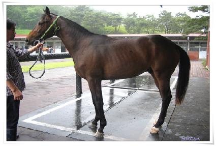 ���׳� ����