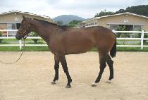 ��º��� (USEUNG BULPAE) ����