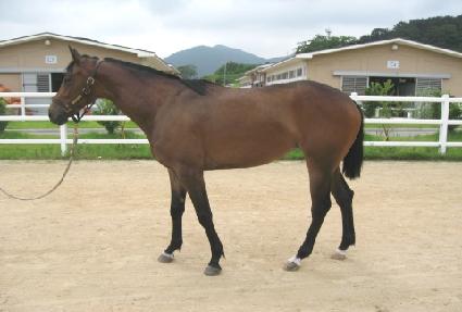 ��º��� ����